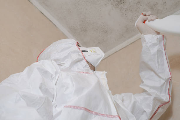 Best Mold Testing and Inspection Services in Paddock Lake, WI